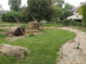 Paysagiste et Permaculture à Angers