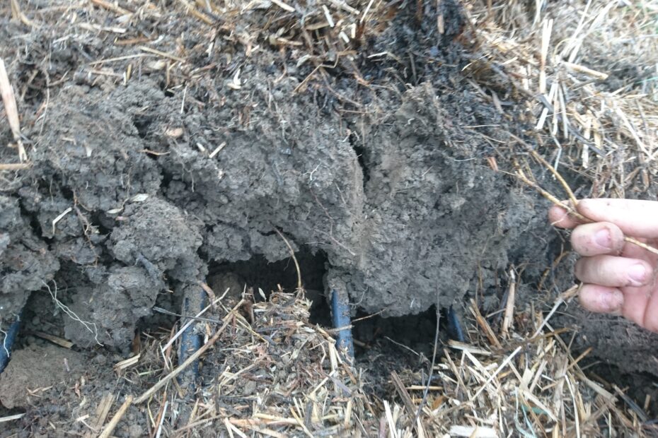 Photo du sol de notre jardin expérimental