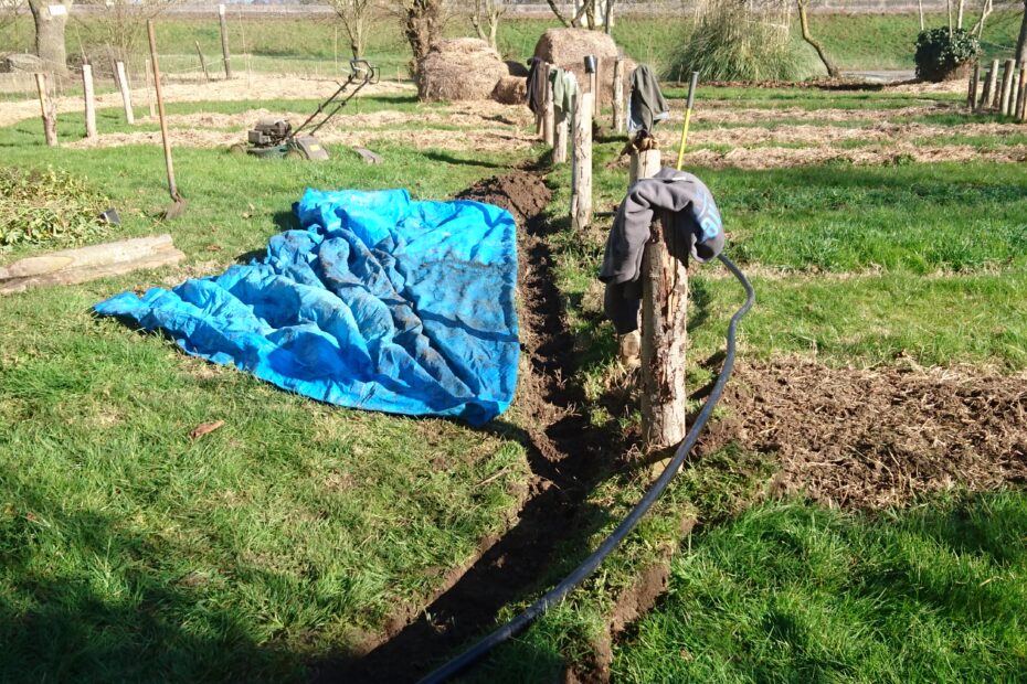 Photo de l'arrosage enterré dans notre jardin