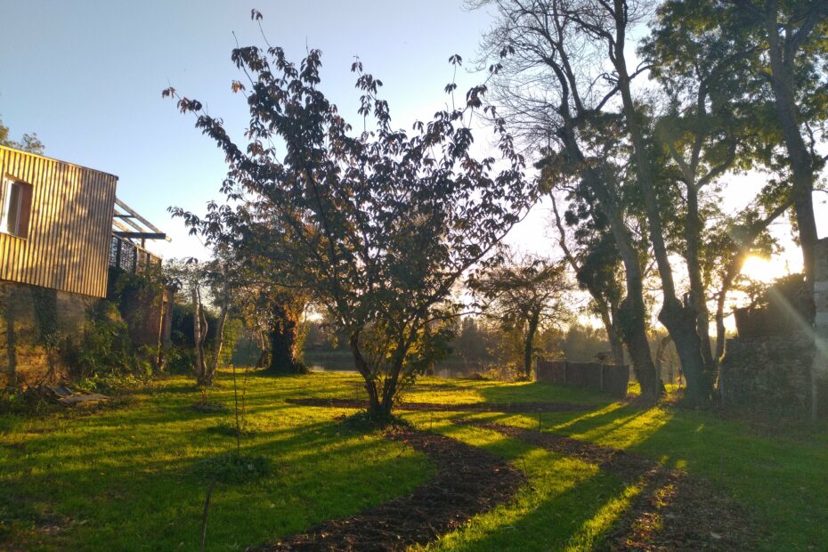Photo de l'ombre portée des frênes sur notre jardin