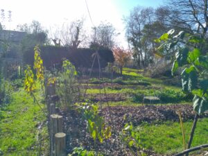 Paysagiste et Permaculture à Angers