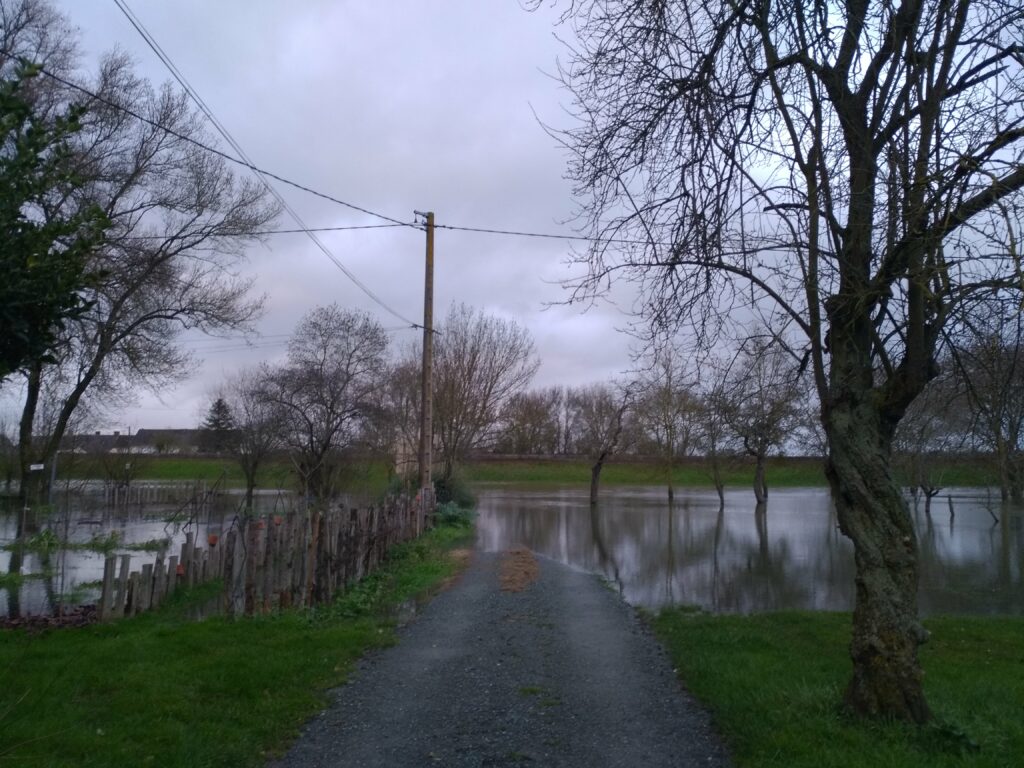Photo du début d'inondation du jardin