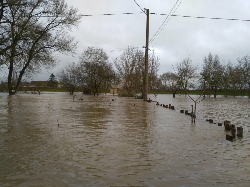 Photo du jardin inondé à 1m60 de haut