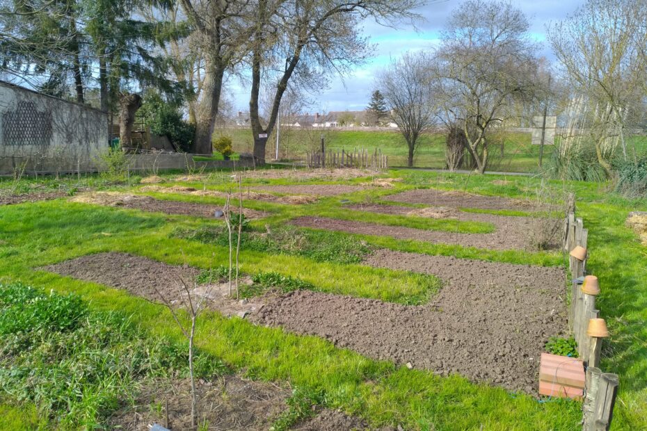 Photo d'une plate bande à nue sur notre jardin - Paysagiste et Permaculture à Angers