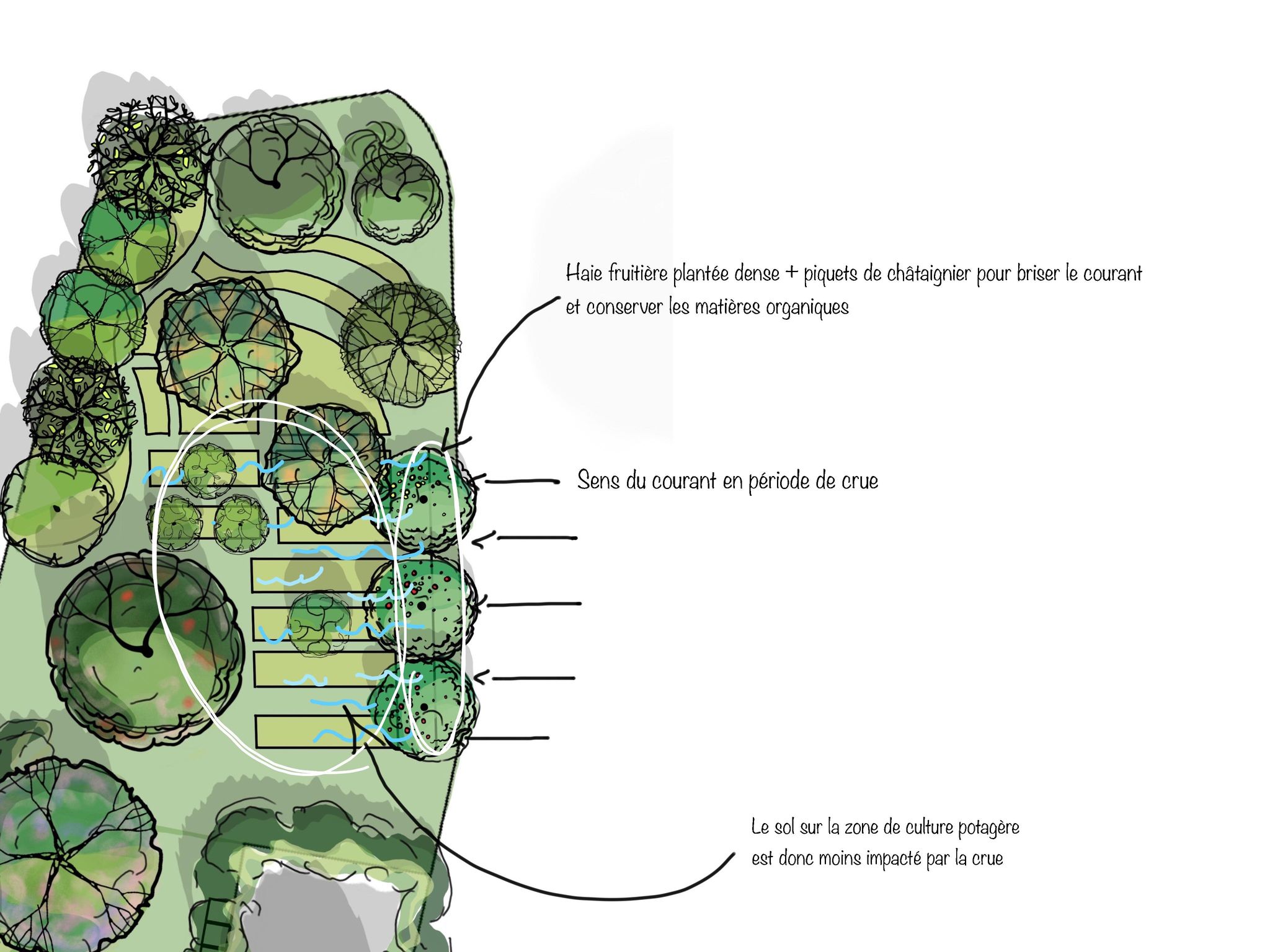 Plan inondation jardin résiliences