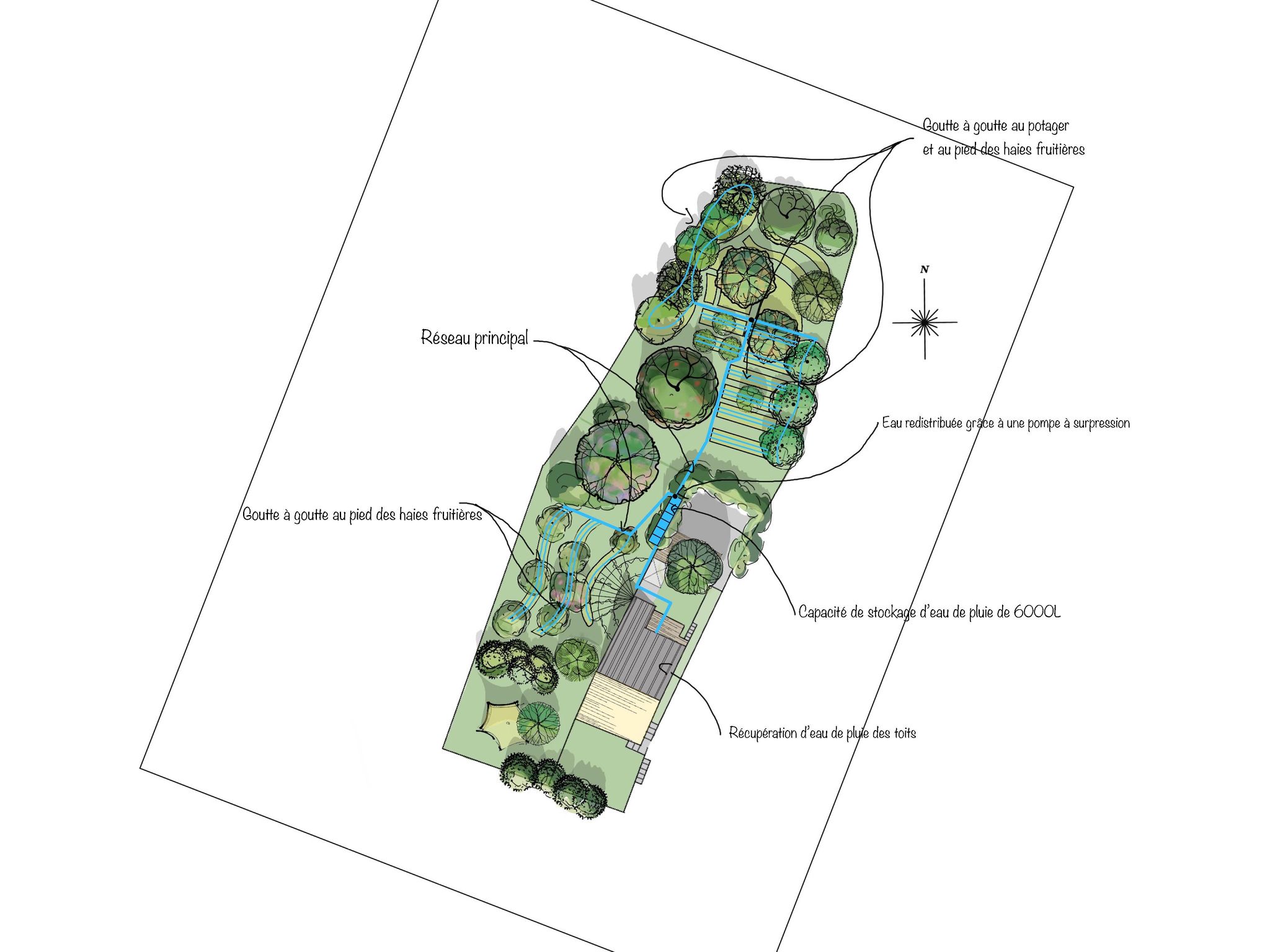 Plan gestion hydrique du jardin de Résiliences