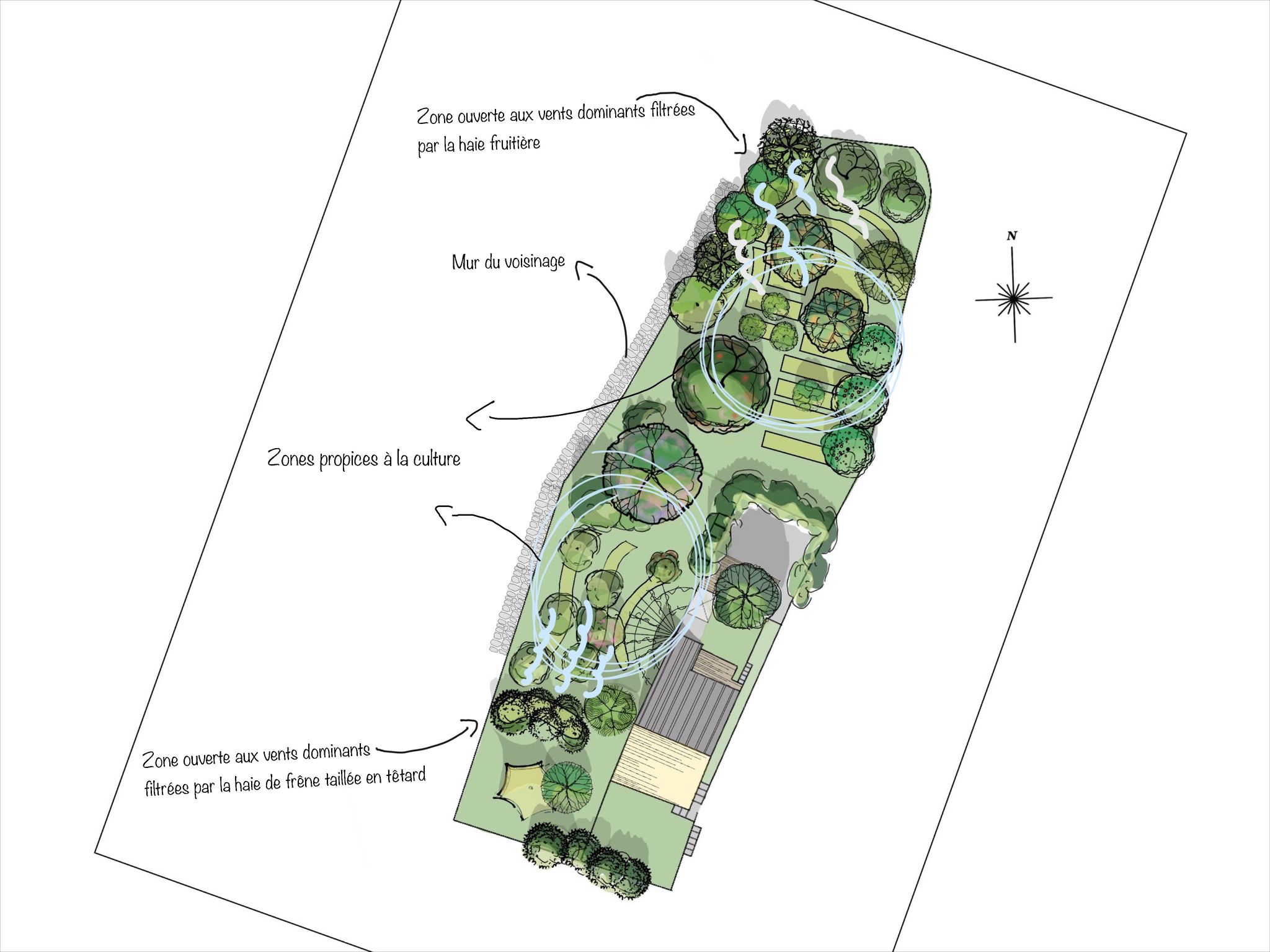 Plan vents dominants de notre jardin
