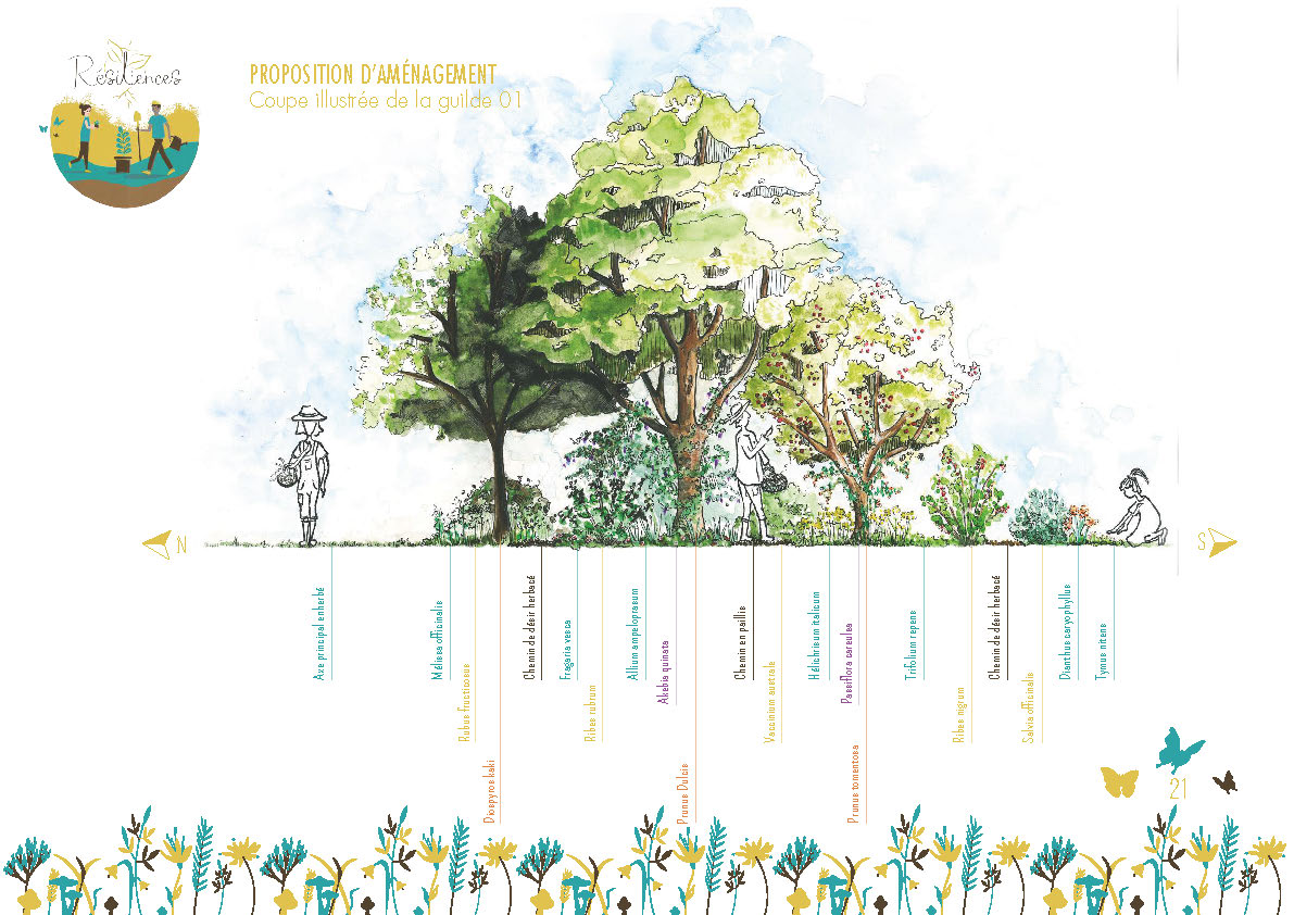 Conception Jardin Foret Fischbein-oiknine Finalisée_compressed_Page_21