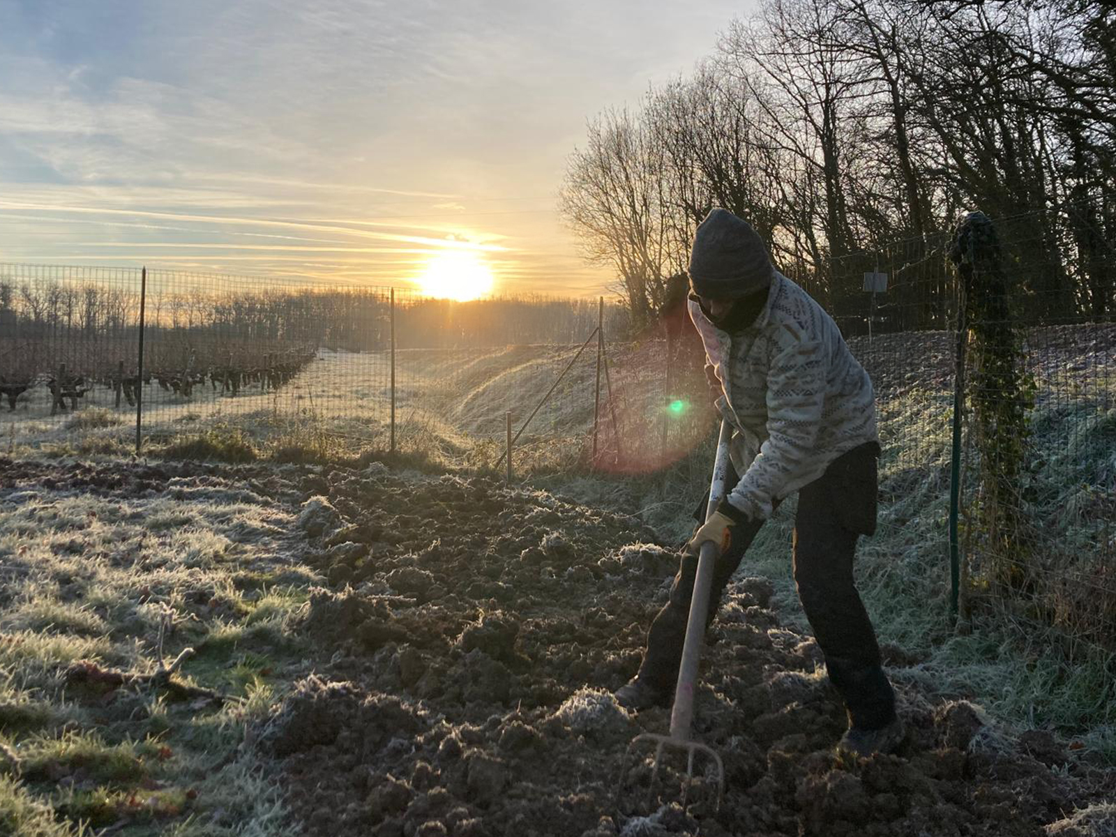 Entretien_louise_eline_resiliences