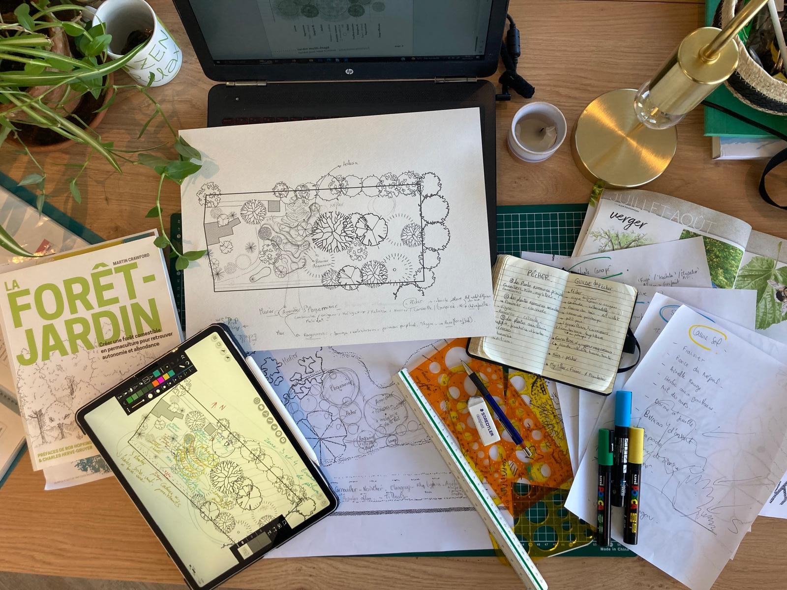 WhatsApp Image 2025-04-02 at 22.45.00