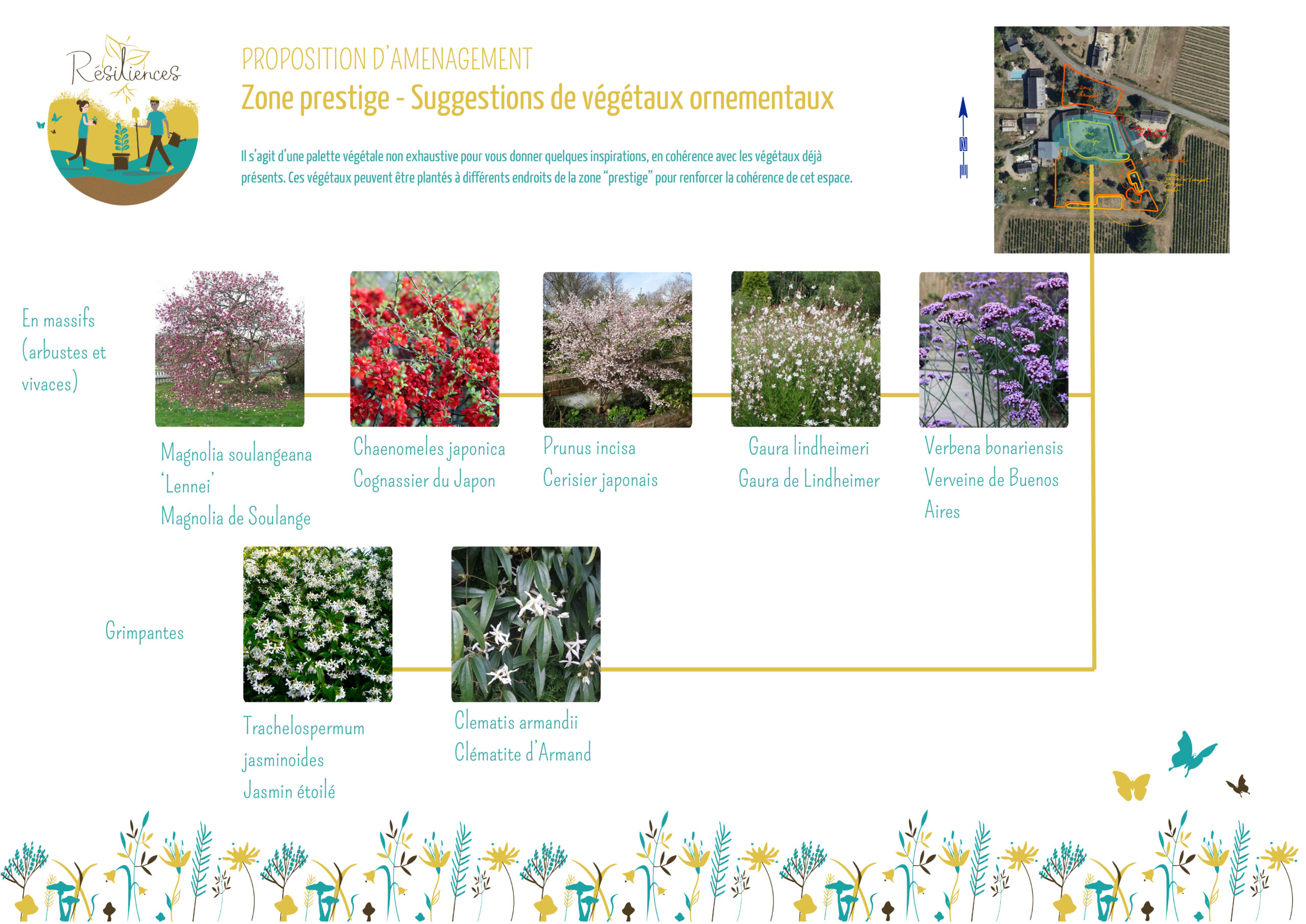 Diagnostic-conseil Roche