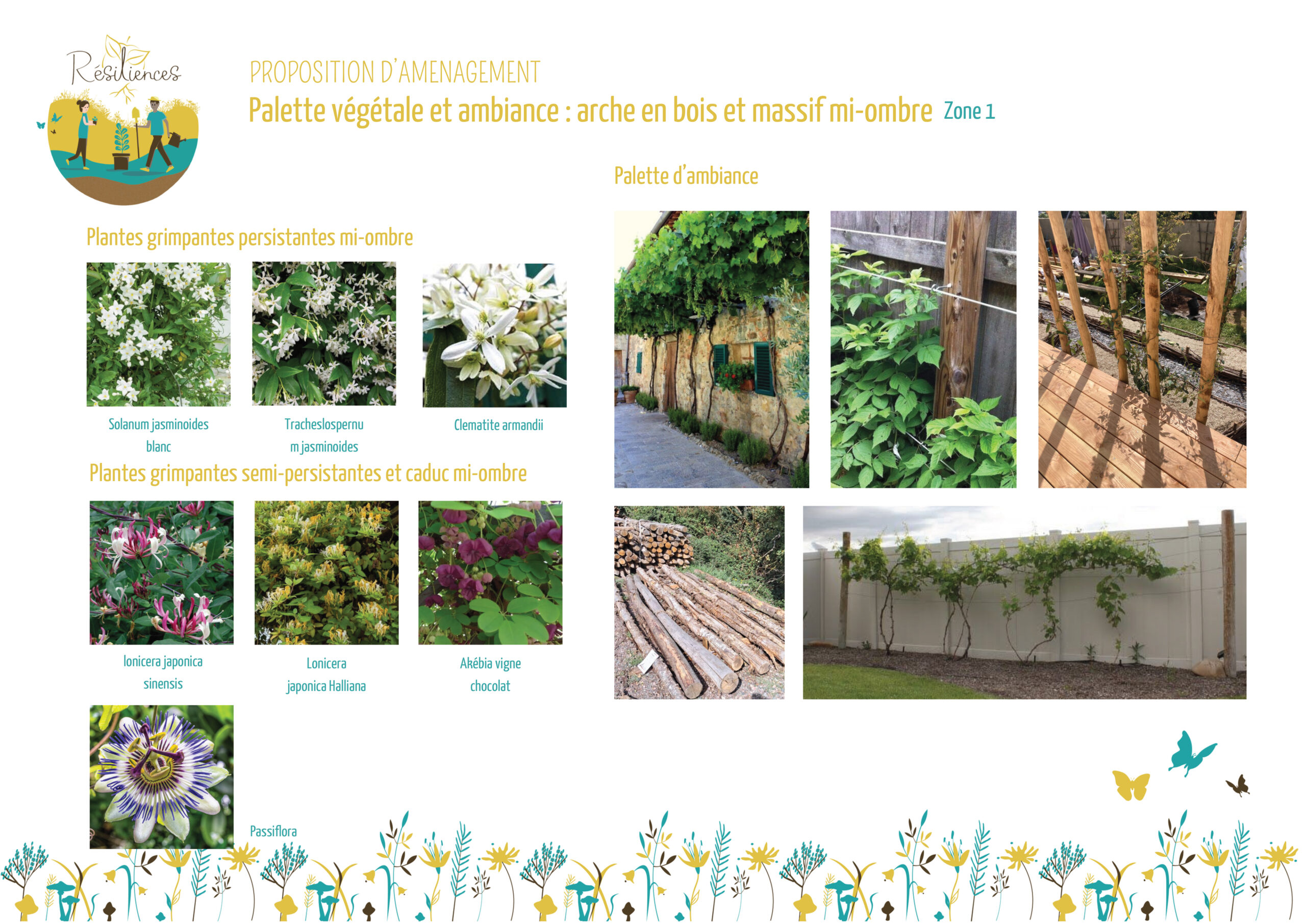 Ripaud  - conception