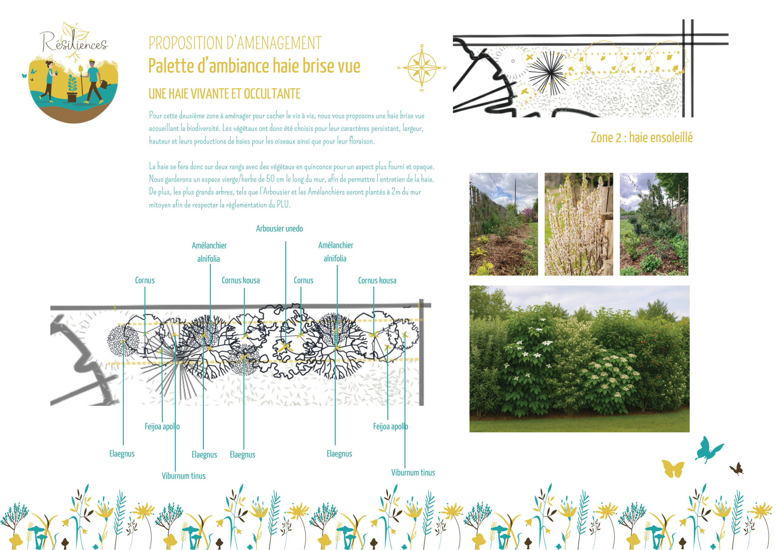 Ripaud  - conception