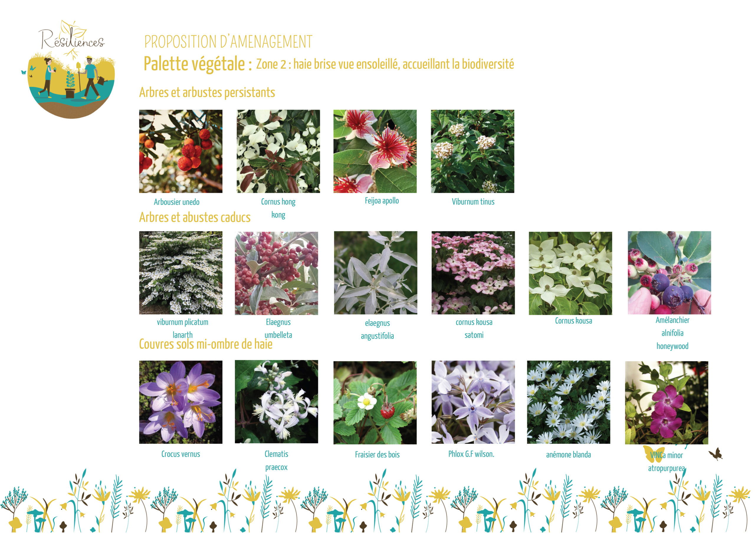 Ripaud  - conception