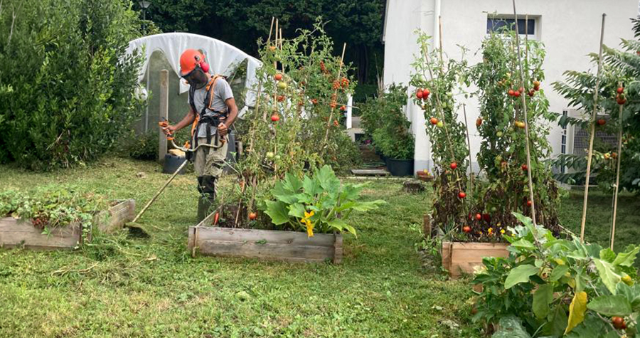 Photo_formulaire_entretien