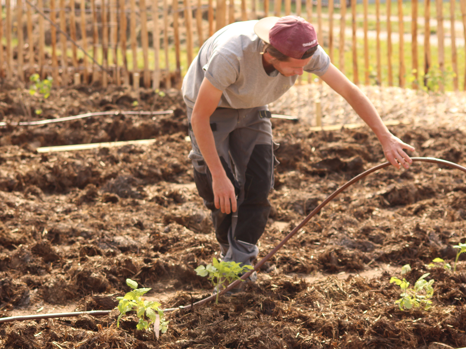 Nos_realisations_projet_3_4